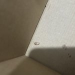 [댓글부탁해] 치킨박스에서 <b>바퀴</b>벌레알과 <b>바퀴</b>벌레 새끼가 나왔다