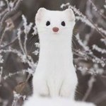 나만 공부 잘하면서 예쁜애 한번도 못봤냐