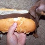 [댓글부탁해] 좋아하는 <b>감정</b> 어떻게 <b>구분</b>함?