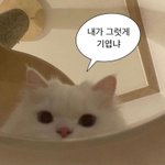 [댓글부탁해] <b>짝</b>남이랑 연락하는거 도와줘ㅜㅜㅜ