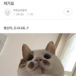 [드루와] 난 진짜 렌즈 끼는게 왜<b>이리</b> 어렵지