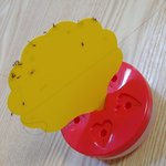 다이소 초파리<b>트랩</b> 이게 제일 좋군요.