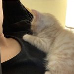 [19] 인스타 비활 이거 왜 이럼