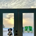 우리 집 <b>창밖</b>에 뭐가 있냐면.jpg