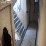 근데 신림동 강간 <b>미수</b>사건 궁금한게