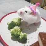 [댓글부탁해] 교정 해본애들아 너네 <b>무턱</b>