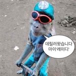 [댓글부탁해] 너네 <b>남</b>들한테 <b>말</b> 못하는 길티 뭐있음