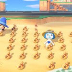 [드루와] <b>동숲</b> 돈