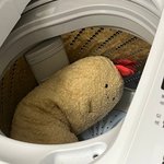 맞팔<b>한</b> 판<b>녀랑</b> 친해지고싶음..