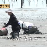이 <b>연차</b>에 갯벌 구르는 남돌