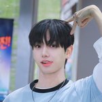재현이 <b>코카</b>스파니엘상