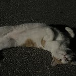 [댓글부탁해] 내 친구 예쁜데 <b>의사</b>랑 사귐..