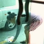 너희는 둘 중에 무슨 말이 더 기분 나빠?