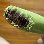 [드루와] <b>이아이</b>스크림존맛임