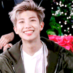 방탄 알엠 <b>gif</b>