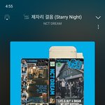 [NCT드림] 혹시 치타리 산 사람 있어?