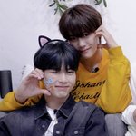 제베원 <b>무해</b>한 조합