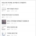 [<b>NCT드림</b>] 칠프톡에서 쳐싸우는 드프들