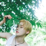더보이즈 <b>컨포</b>