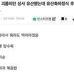 [댓글부탁해] 현재 논란중인 유산축하<b>정식</b>
