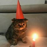 [댓글부탁해] <b>키즈</b>카페 마감 알바할까??