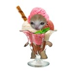 [댓글부탁해] <다이어트 4일차>