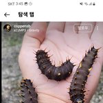 [댓글부탁해] (혐짤주의)이러고 30분이상있으면 20만원 가능? <b>불가능</b>?