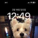 홈화면 <b>설정</b> 이거 어떻게 해?