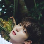 이재현 <b>무새</b> 등장