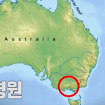 세계 최강 <b>럭키</b> 가이