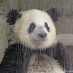 유튜브 같은 데에 외국인들 댓글