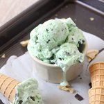 <b>민초</b> 사랑단 모여봅니다