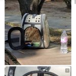 이 고양이 개 <b>불쌍</b>하지 않냐..
