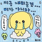 오늘 발송됐으면 내일 오기는 힘듦...????