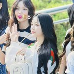 [모두드루와] 오늘 뉴진스 <b>구찌</b> 입은 하니팜