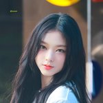 해린 <b>렌즈</b> 직경 몇 낄까