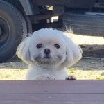 [TXT] ㅠㅠ 이거<b>본</b><b>후</b>로