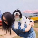 “애견호텔 맡긴 강아지…10시간 만에 <b>열사병</b>으로 숨져”