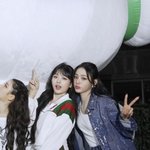 [모두드루와] 이 둘의 얼굴 <b>조합</b> 미쳤다...