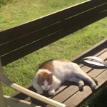 화장 루틴 공유하자