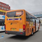 부산 해운대서 1003번 버스-승용차 충돌 사고