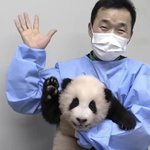 [댓글부탁해] 강아지가 너무 늙어버렸나봐