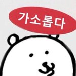 우리 학원쌤 <b>정시</b>파이터란말 하지 말라함