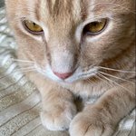 [드루와] 좌석버스에 카페음료 들고 <b>타도</b> 됨?