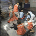 [풀햄보이즈] 아르망 <b>맥스</b> 혐오스러워