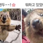 면