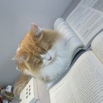 <b>책상</b> 위에 이거 뭐임..?