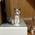 [비트이더] [비트이더] 이사왔어요 오랜만이예요