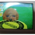 <b>Mbti</b> 진짜로 바뀐거 같은 애들아 너네