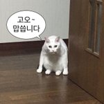 오늘 남친 <b>생얼</b>로 만났는데